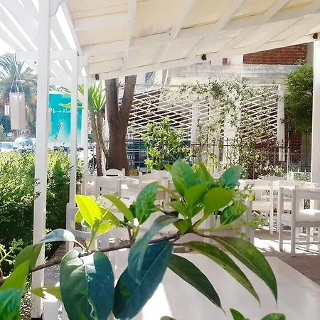 Ari Hotel 3*